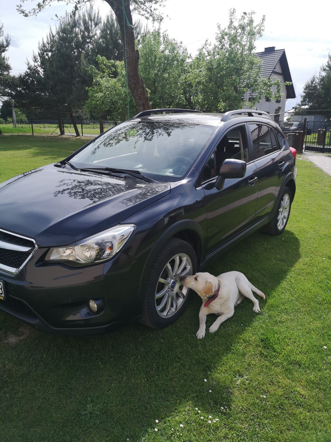 Subaru xv 2.0 crosstrek  150 km