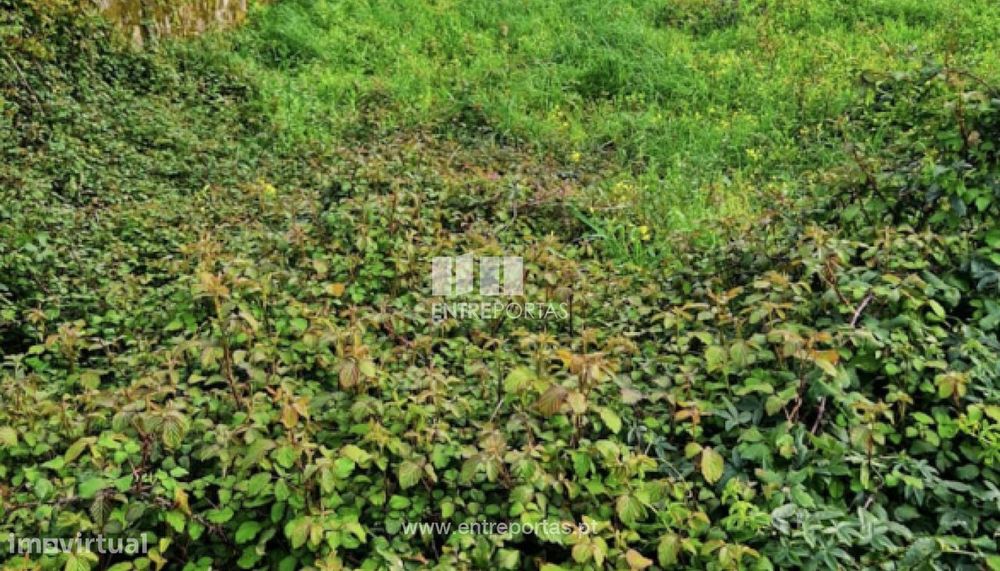 Venda de Terreno, Cardielos, Viana do Castelo