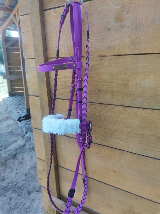 Ogłowie rajdowe cob