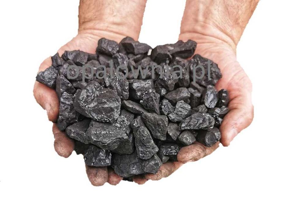 Pellet drzewny Premium Selection. Dostawa do domu klienta gratis