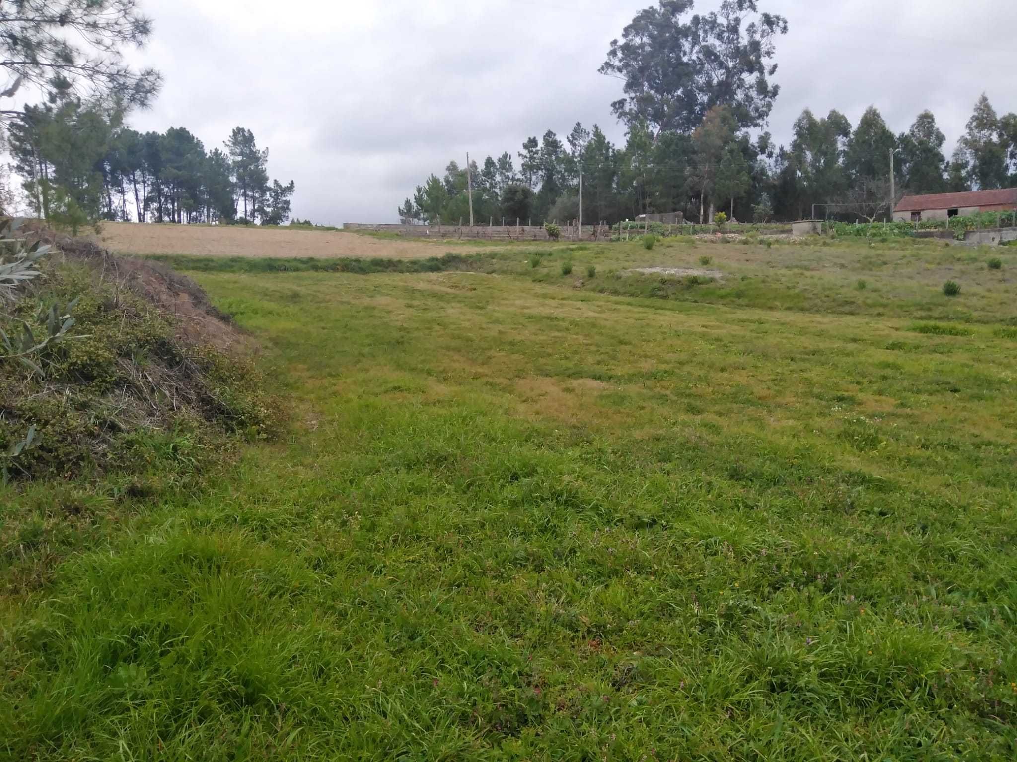 Vendo terreno no Vilar do Ruivo