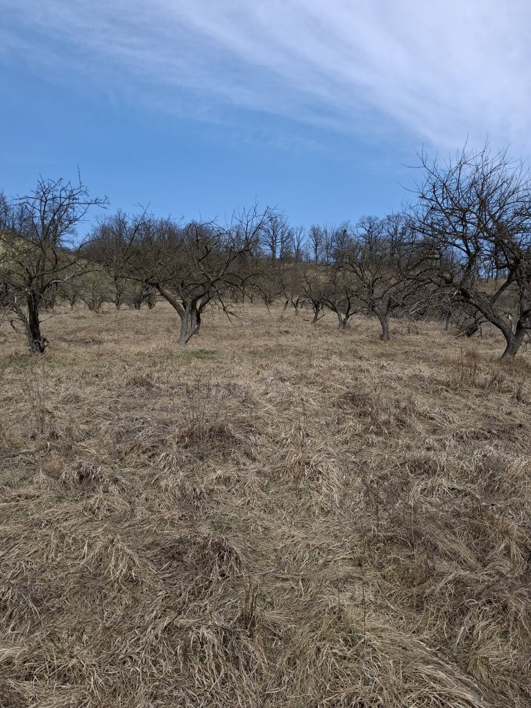 Продам земельну ділянку