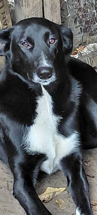 В добрі ручки гарна дівчинка.