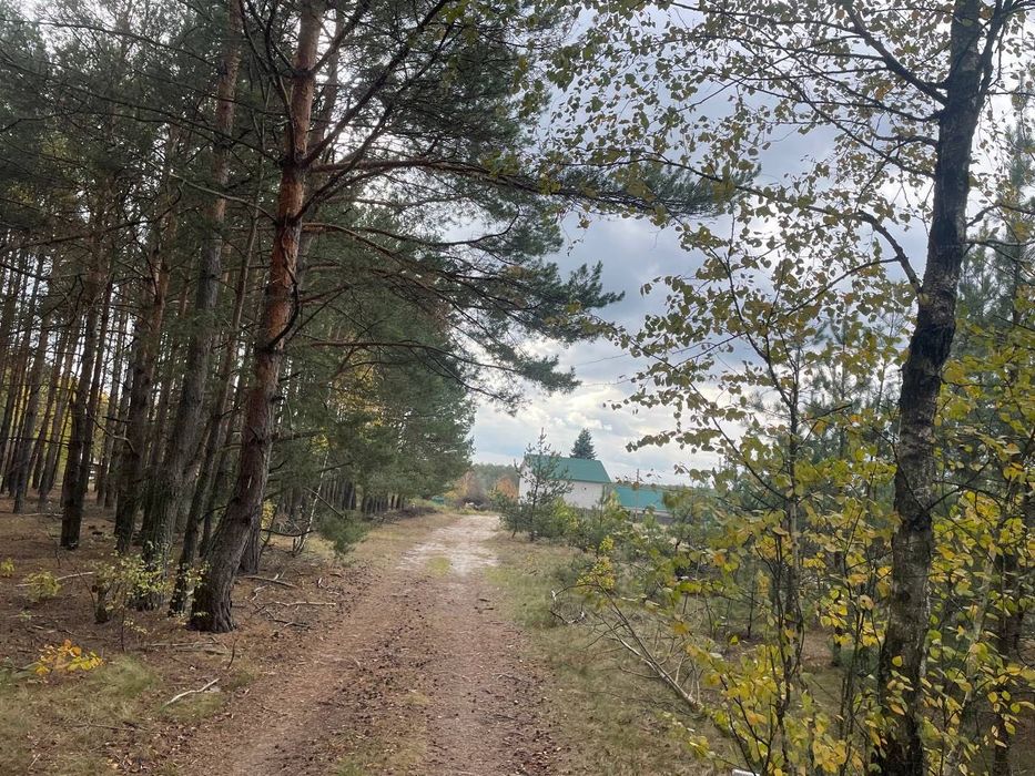 Продається земельна ділянка в с. Абрамівка, Київська область