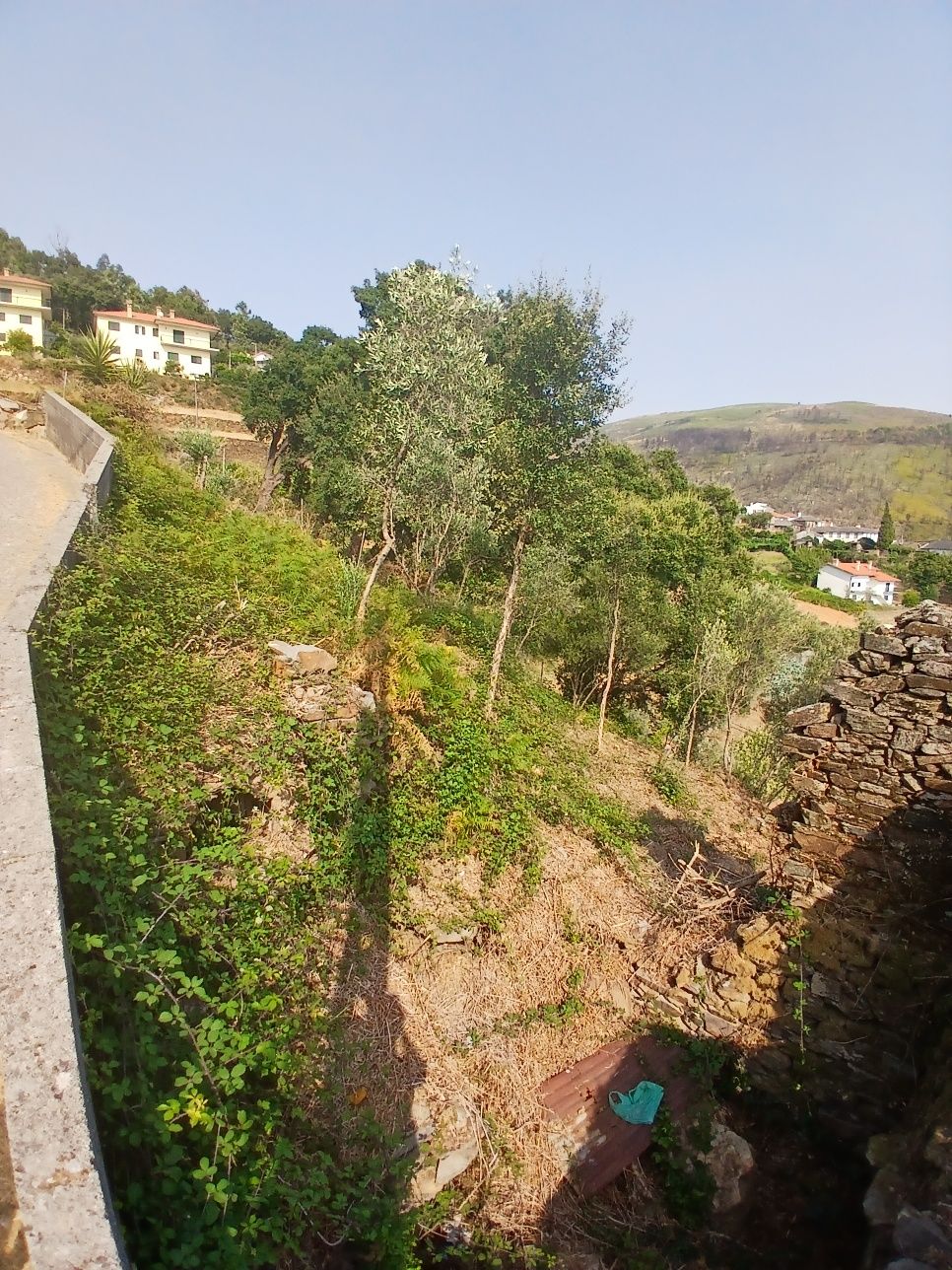 Terreno Eiriz - Castro Daire