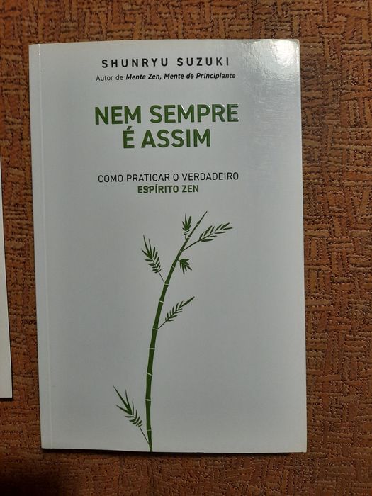 Nem Sempre É Assim  - Como Praticar o Verdadeiro Espírito Zen