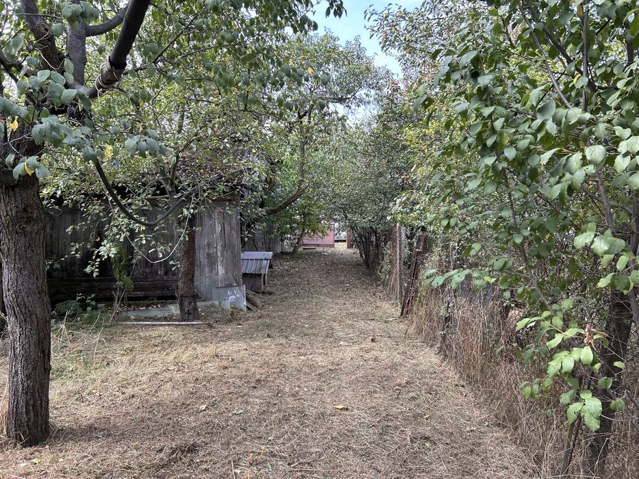 5-кімнатний будинок з площею 0,25 га с. Мочола 6 км від Берегова