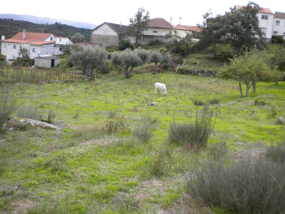 Vende-se Terreno Muxagata