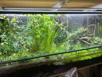Terrarium i kraby