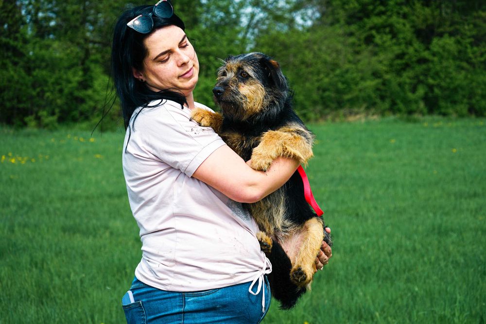 LASTKA - śliczna, niewielka, szorstkowłosa sunia