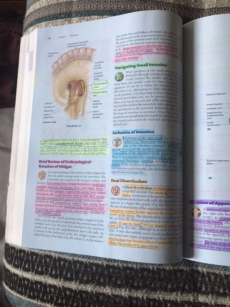 Moore - Clinically Oriented Anatomy