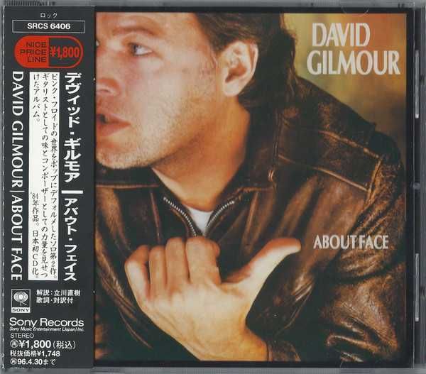 Диск аудио CD R David Gilmour