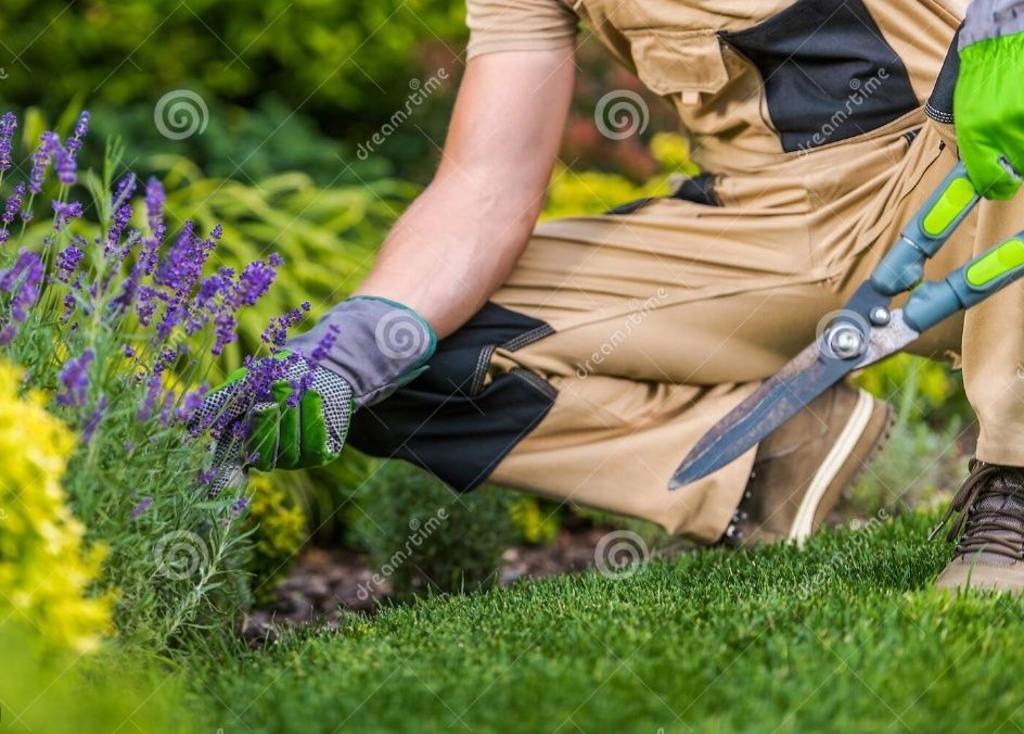 Empresa Jardinagem  - Especialista Técnico Jardineiro