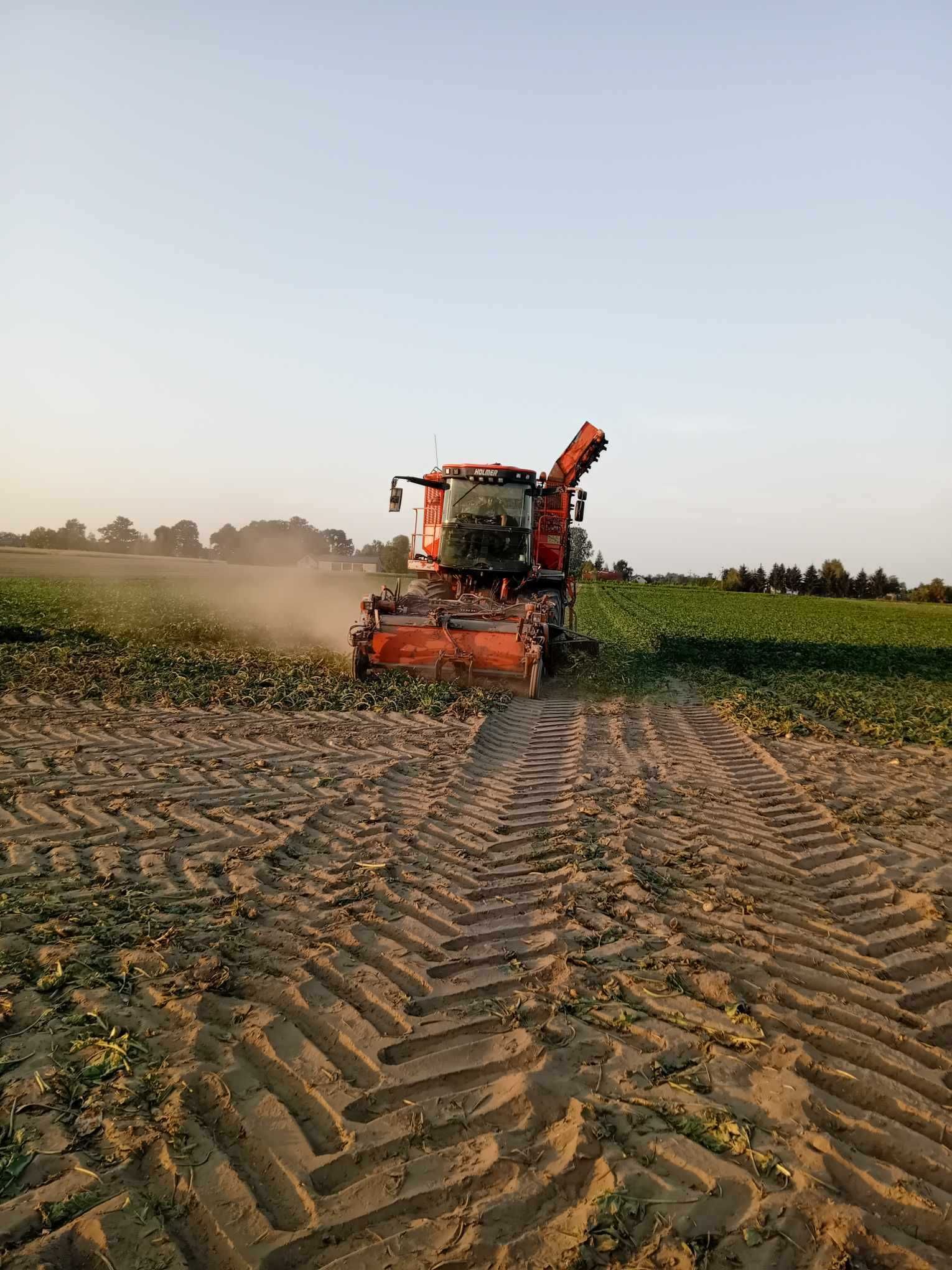 Kombajn Holmer T2