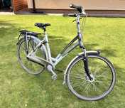 Rower Gazelle Chamonix Plus