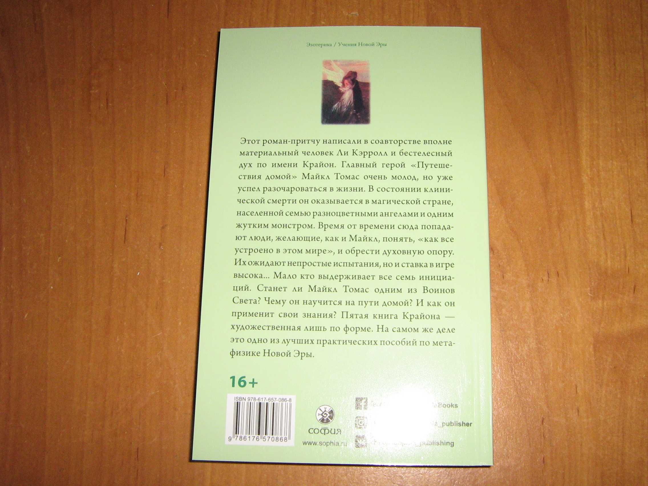 Крайон. Книга Путешествие домой. Майкл Томас и семь ангелов