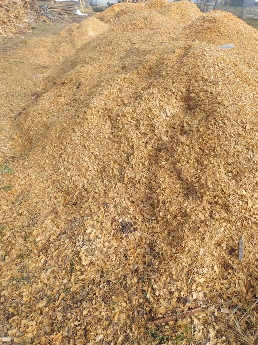 Wióry  Trociny  Sprzedam  35zł m3
