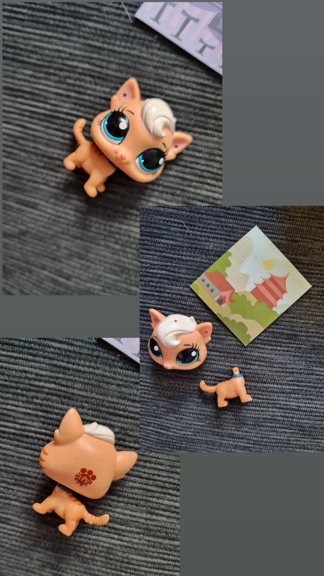 Zestaw Littlest pet shop