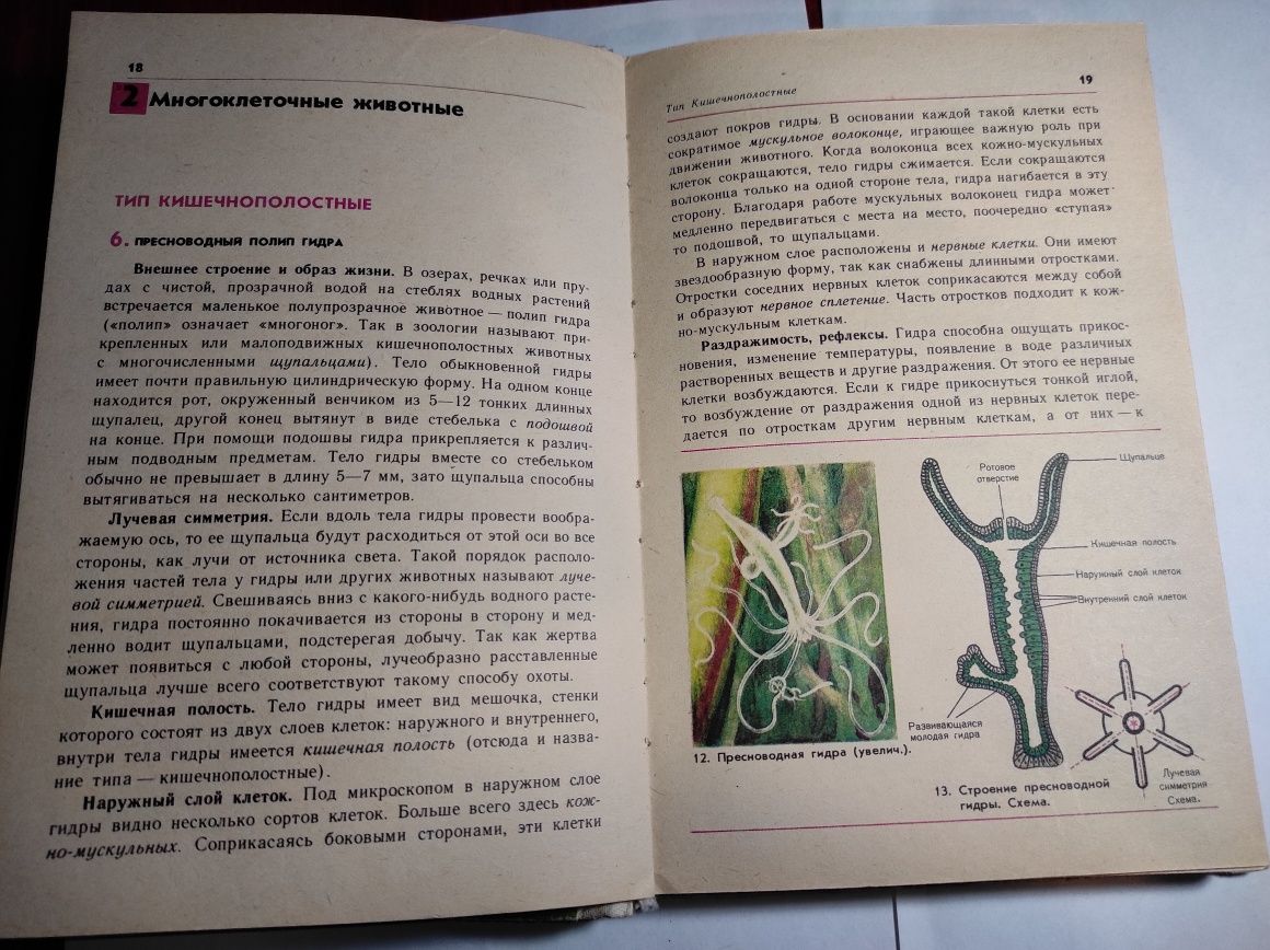 Зоология 6-7 Д.В. Наумова 1984