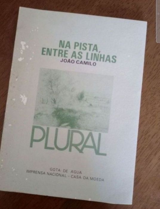 Na pista, entre as linhas - João Camilo