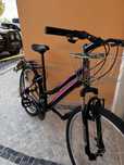 Bicicleta   DS