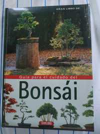 Guia do cuidado do Bonsai