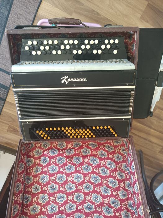 Guzikówka stan bardzo dobry brzmienie po strojeniu.