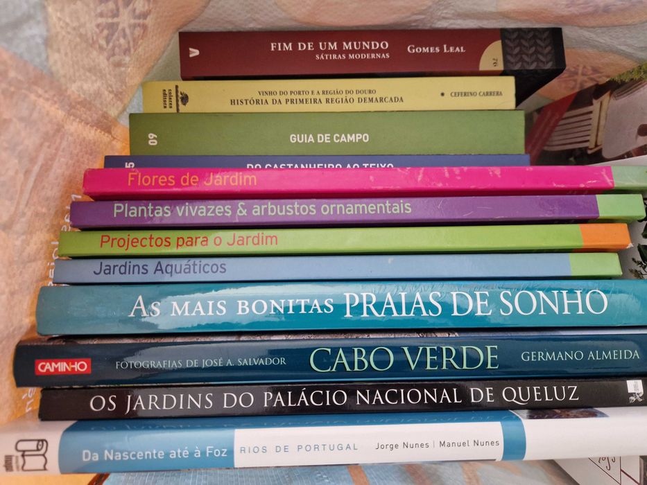 Livros Vários Títulos e Autores (SAC04)