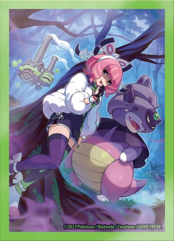 Pokemon koszulki na karty Premium Collection 65 szt. C147