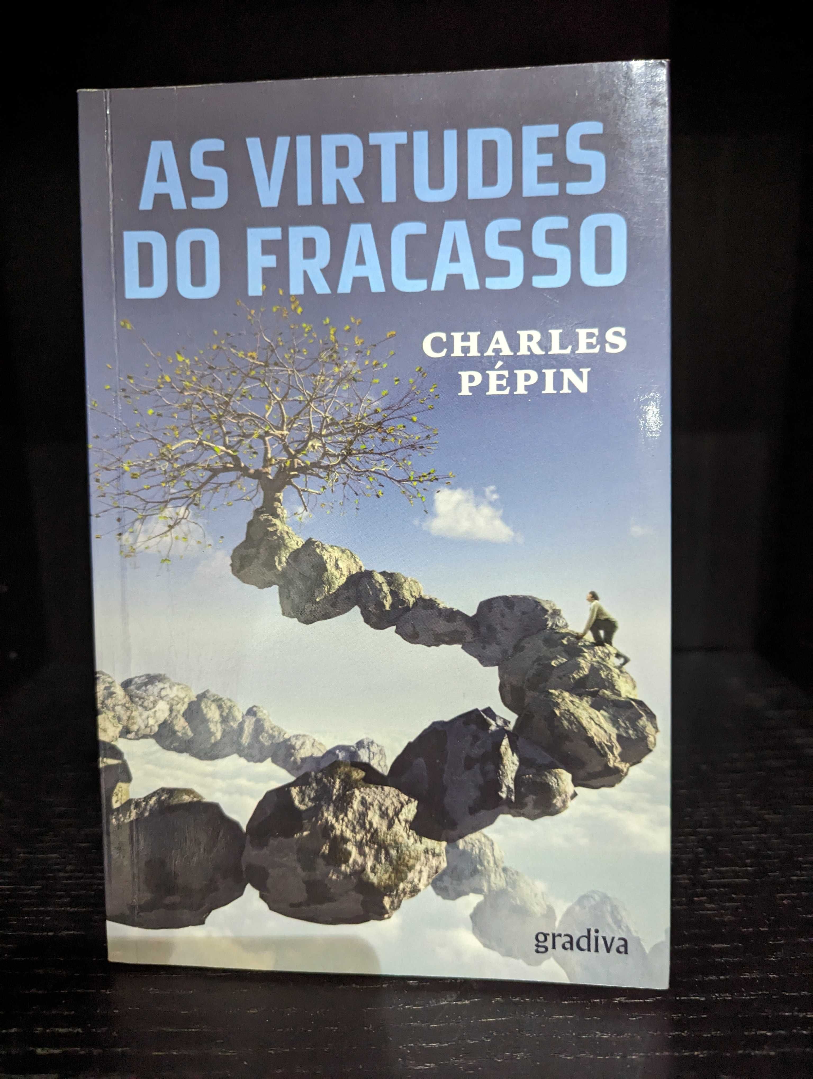 As Virtudes do Fracasso - Charles Pépin