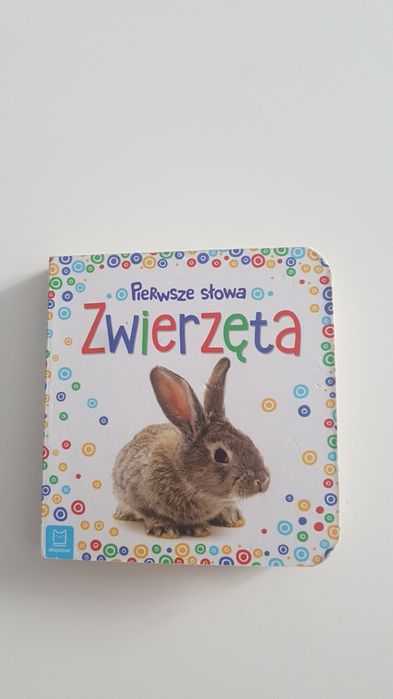 Książeczka pierwsze słowa.