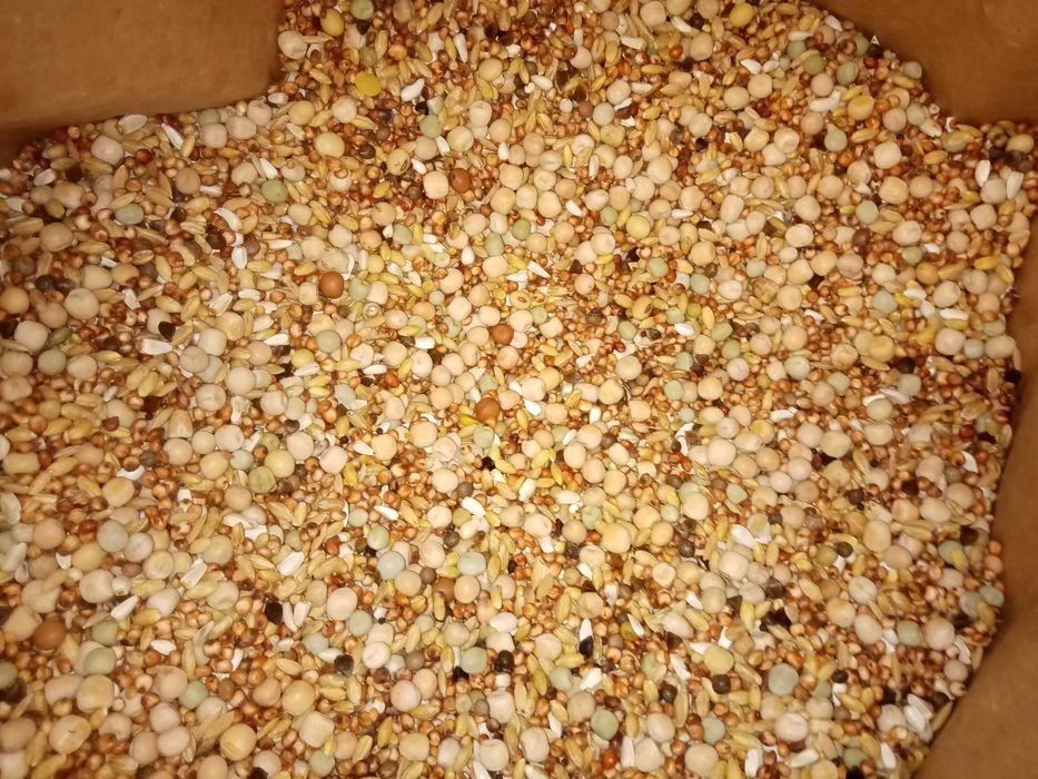 Karma dla gołębi Bez Kukurydzy i Pszenicy Białkowa Lider 25kg Kampol
