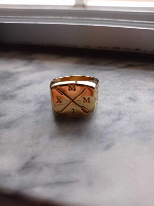 Anéis novos (aço inoxidável primeira qualidade)