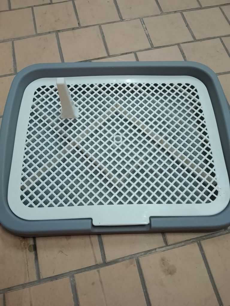 WC de treino para cão