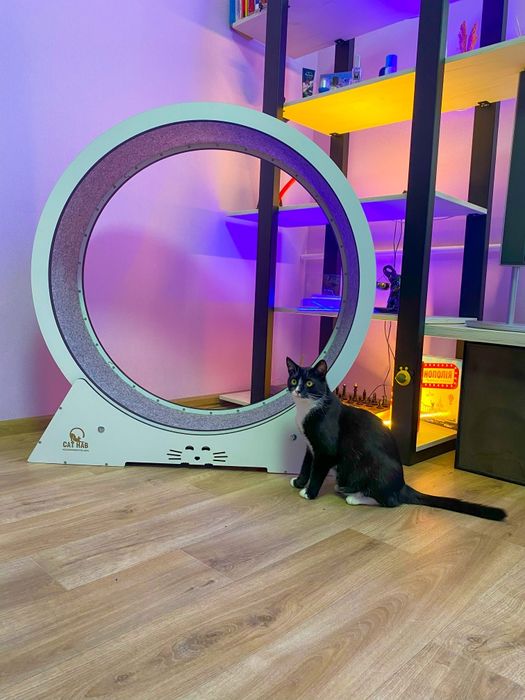 Бігове колесо для кота | Тренажер для кота