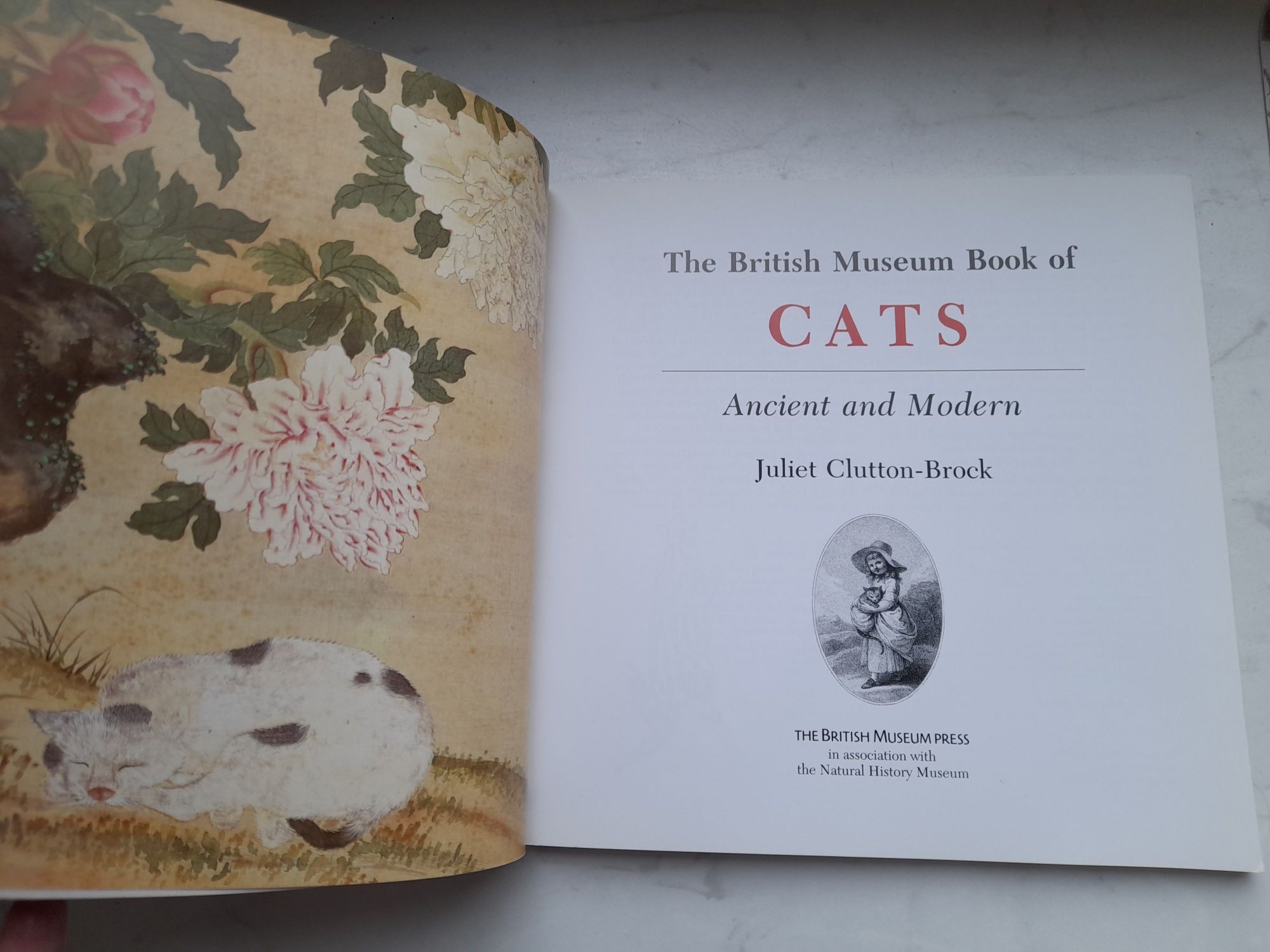 The British Museum Book of Cats