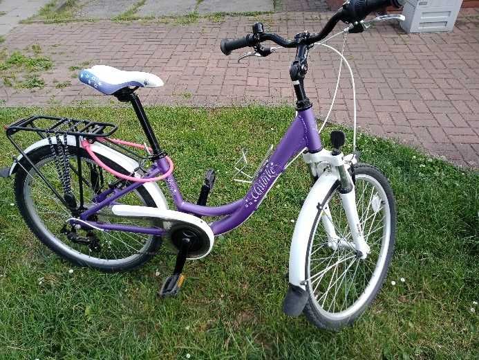 Rower Unibike Princess 24"