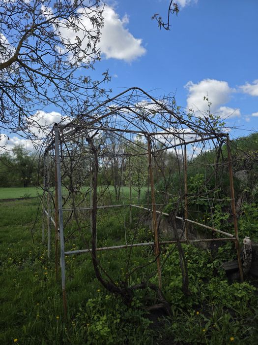 Продам будинок в с.Великі Мошківці з землею 0,75га