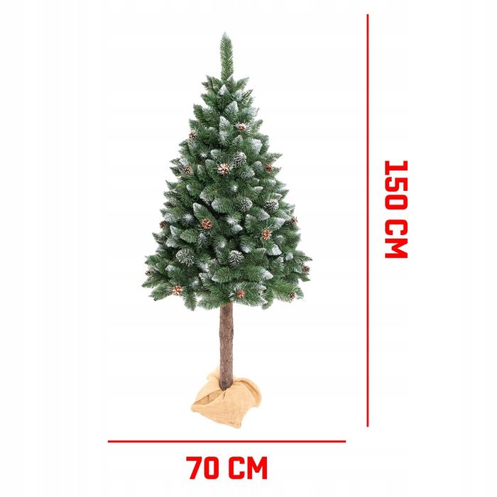 Przepiękna choinka na pniu jak żywa,gęsta,zielona,oszroniona,szyszki.