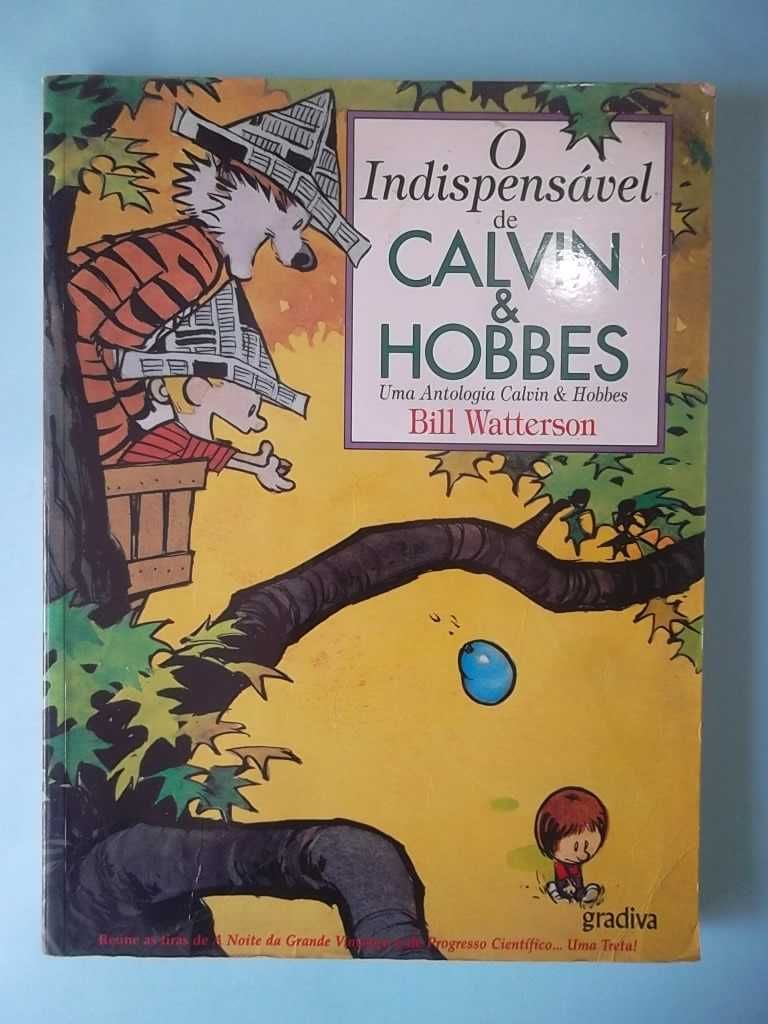 3 álbuns de Calvin & Hobbes - Bill Watterson