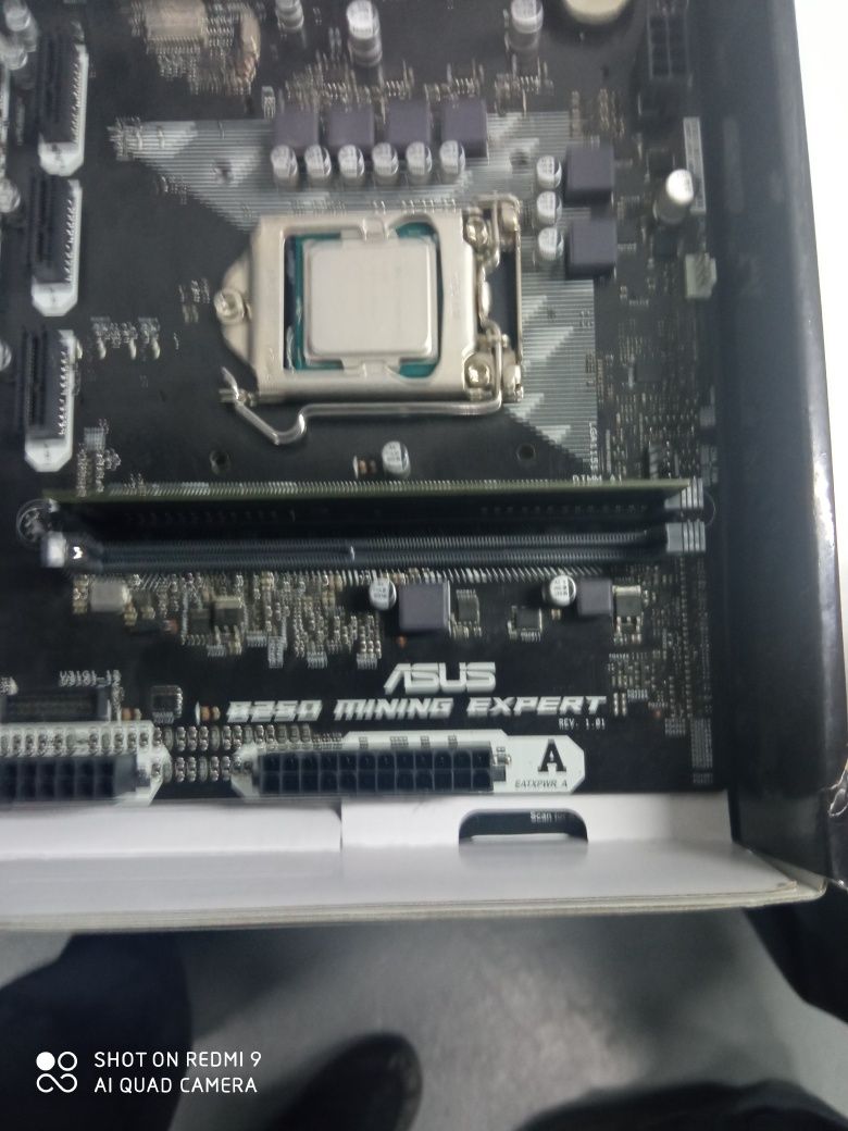 Asus B250 Mining expert + 4gb DDR4 + G3900 2.8ghz + кулер