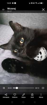 Czarna koteczka przytulanka