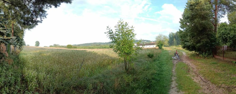 Działka budowlano-rolna z widokiem na Kazimierz 1 ha