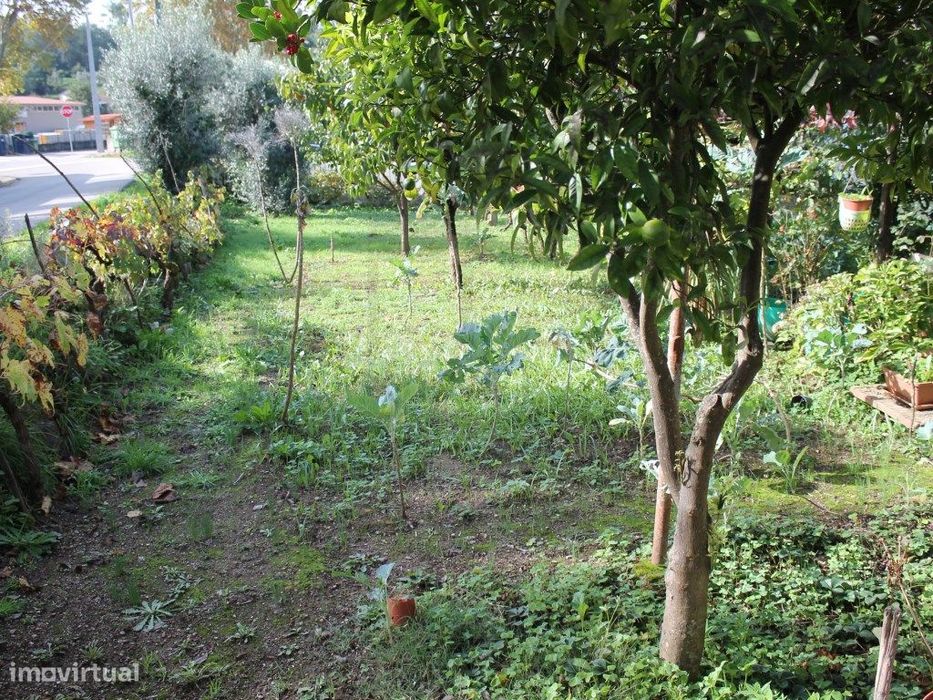 Terreno rústico na zona da Vila de Arganil com uma localização de e...