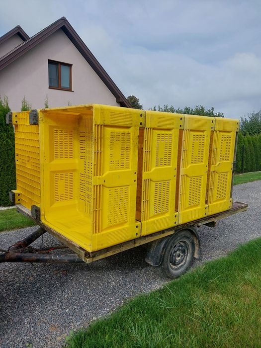 Skrzyniopalety plastikowe