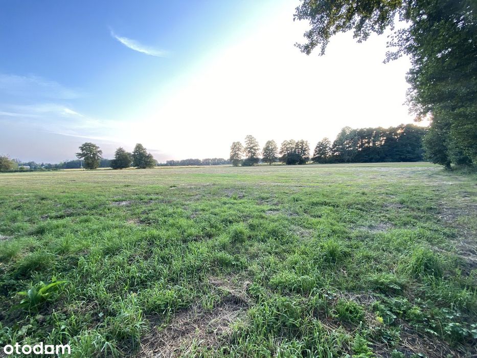 Działka budowlana 18 arów – Nowy Krzymów, gm. Krzymów – blisko Konina