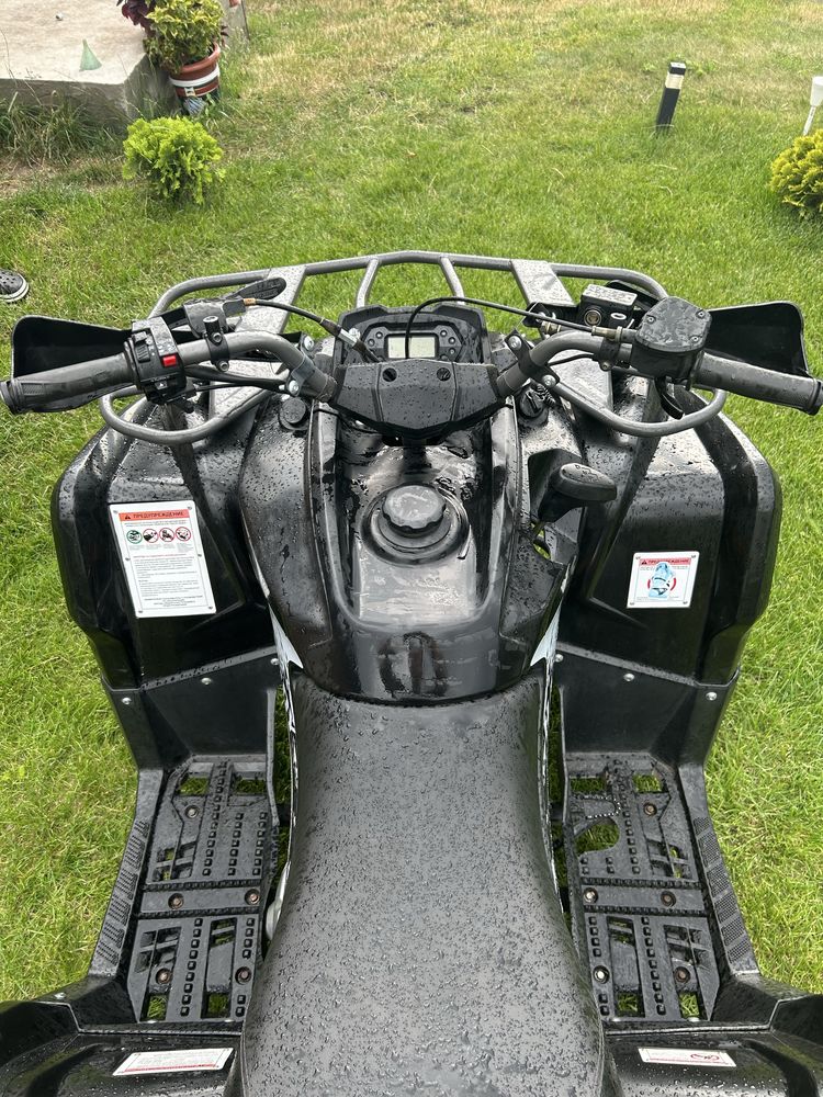 Mikilon hardy 200