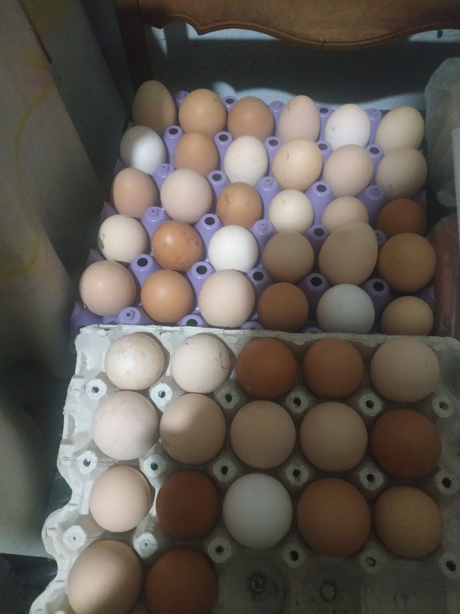Меняю крупы любые (гречка, пшено, рис,мука и так дале)на домашнии яйца