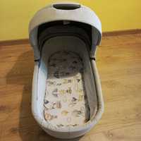 Roan Bloom Szary /Grey  2w1