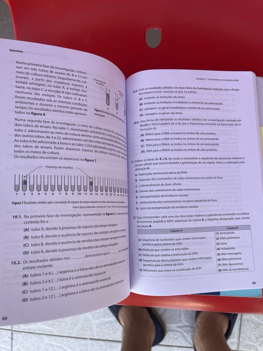 Livros de apoio para o Exame Nacional - Biologia e Geologia